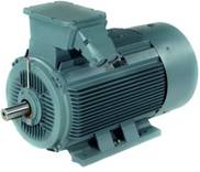 HJN motor