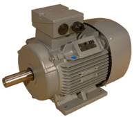 DM1 motor