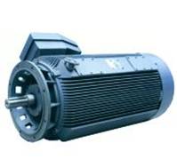 DM1-HV motor