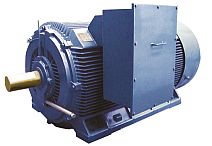 HCM motor