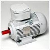 marine motors