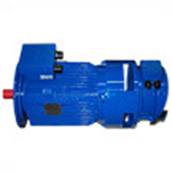 motors with brake